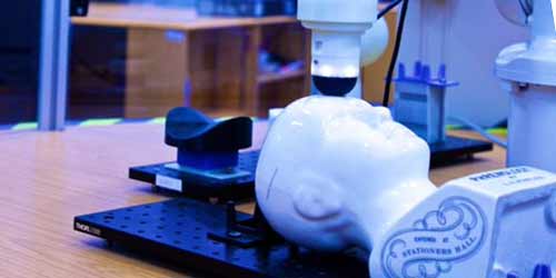 Robotics equipment with model human head