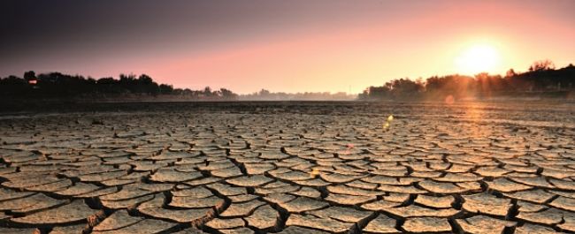 Cracks in the earth in an arid landscape.