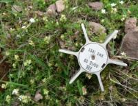 grenade and flowers photo