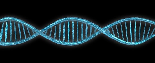 An image of DNA