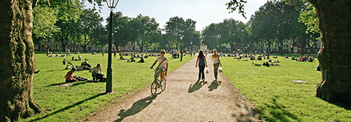 People walking and cycling through a park.
