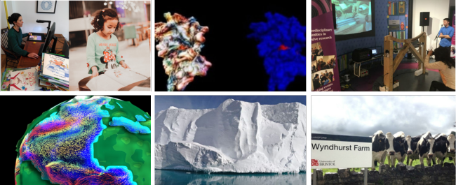 Collage of images from previous seed corn projects