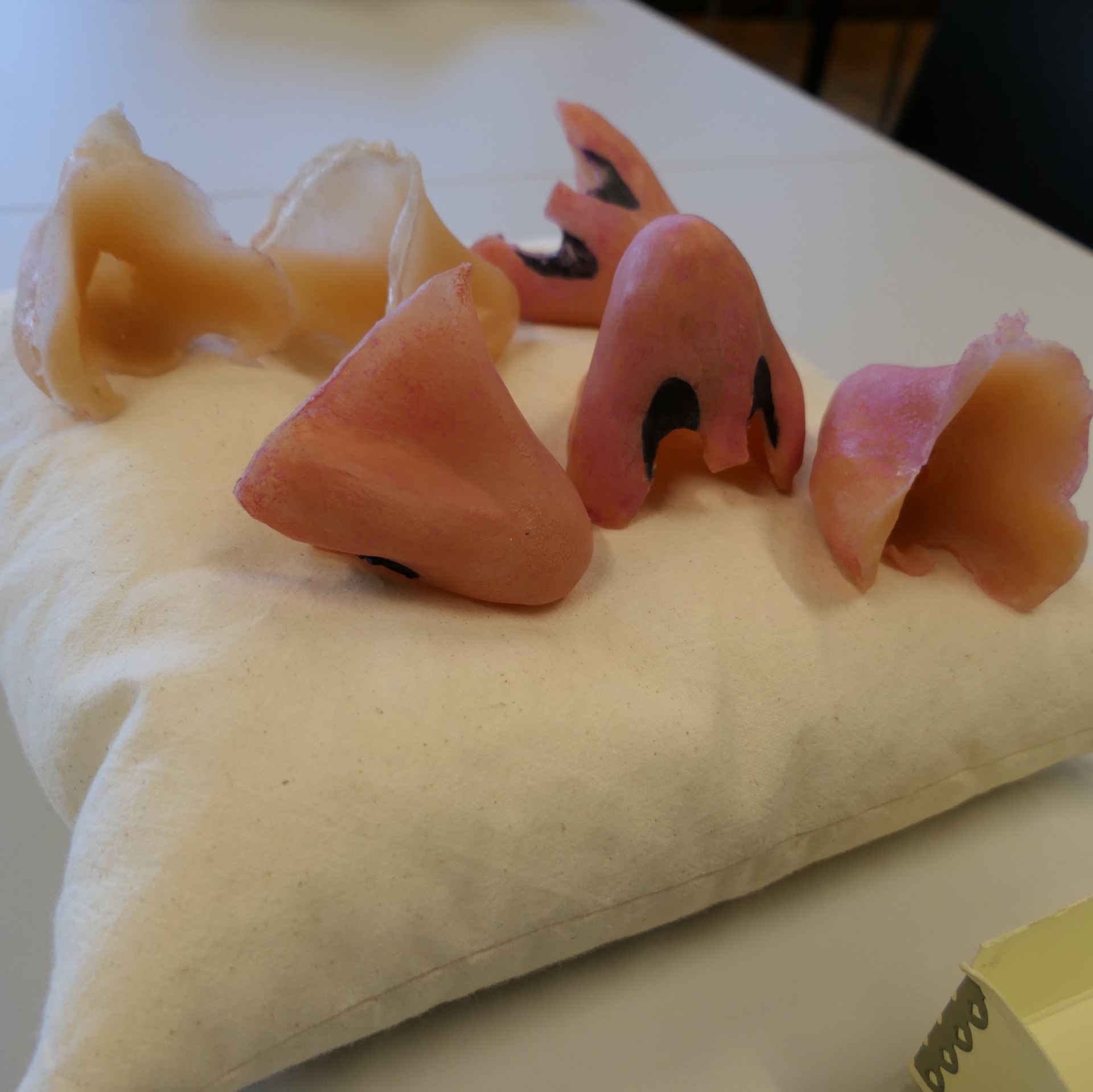 A number of fake noses on a cushion