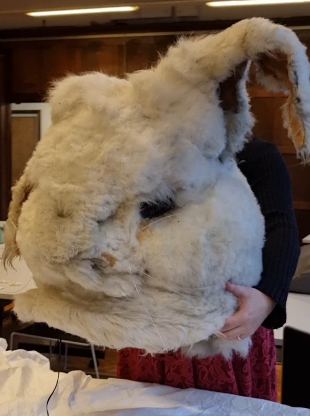 A white rabbit head costume