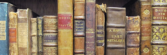 Books on a shelf.