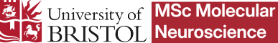 Logo of the MSc in Molecular Neuroscience, University of Bristol