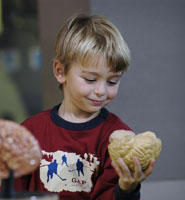 Boy with a brain