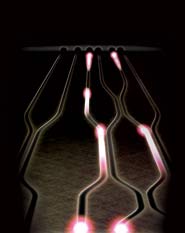 Detail from Science magazine's cover image, May 2008