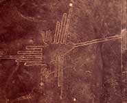 A hummingbird geoglyph