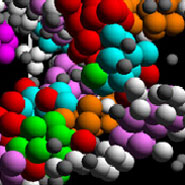A close look at a colloidal gel.