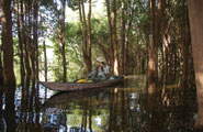 Bezerra piloting a wooden canoe