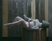 Manuel Vason and Anne Seagrave 'Collaboration' #2 London 2005