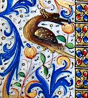 Cobden Book of Hours