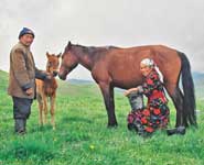 Mare milking in present-day Kirghizstan. Here, the foal is present to initiate the milk let down.