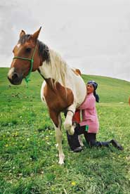 Mare's milk is still drunk in Kazakhstan and its neighbour, Kirghizstan, where this image was taken