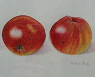 A painting by Florence Maggs