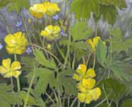 A painting by Alison Procter