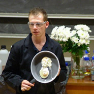 The lecture demo 'A Chemical Delight'
