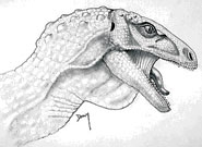 The Bristol Dinosaur