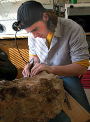Excavating the bones
