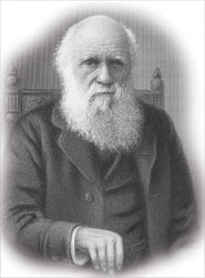 Line drawing of the elderly Charles Darwin