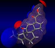Model of a corticosterone molecule