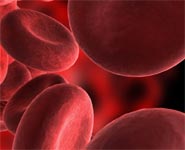 Red blood cells