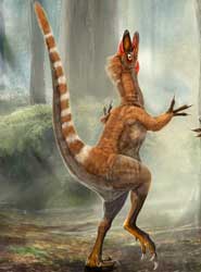 Reconstruction of a Sinosauropteryx