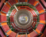 The CMS detector
