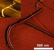 Cylindrical nanostructures on a carbon surface.