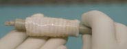 The first bioengineered windpipe made from a patient's own stem cells