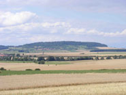 The princely hillfort of Tincry from the south