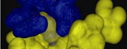 A computer modelling of toxin and channel interaction