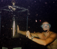 Steve Simpson checking the light trap at night