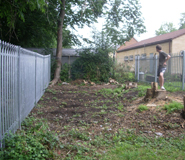 The garden before the community challenge
