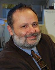 Professor Anthony Hollander