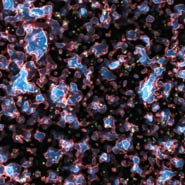 Galaxies during the era of reionisation in the early Universe (simulation)