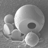 Monmorillonite particles, cut apart to reveal that one of them is hollow.