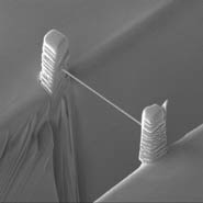 A nano-wire made using ion beam milling for gas sensing applications. It also happens to look like a small-scale version of the Clifton suspension bridge.