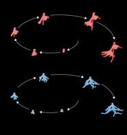 Four-dimensional ants nests from the same donor colony under different experimental treatments