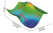 Simple schematic of a two-dimensional energy landscape