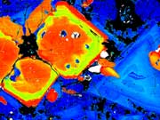 A Mount St Helens sample, as seen through the electronic microscope, showing zoned crystals