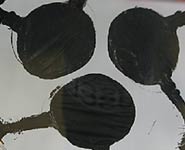 Example of triple disk artificial chromatophore showing 'on' state