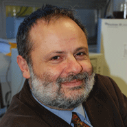 Professor Anthony Hollander