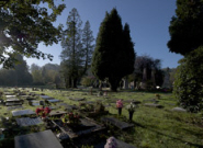 Arnos Vale Cemetery