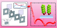 X-ray reflectometry using a “bending mica” method yields interfacial structural details of soft nanofilms in aqueous media
