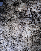 The image was carved using a sharp-pointed tool, probably made of flint