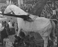 A papier-mâché Pegasus on the RAG procession float