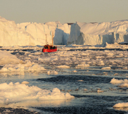 Icebergs discharging from the largest outlet glacier in Greenland, that has doubled in speed since in the last ten years.