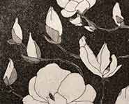 Magnolias